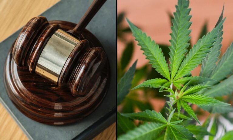 Florida Marijuana Legalization Campaign Sues State Over Alleged ‘Unlawful’ Attempt To Invalidate 200,000 Signatures For 2026 Ballot Initiative