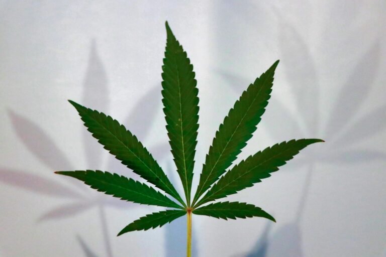 Pennsylvania Senators Approve Bipartisan Cannabis Bill To Create New Regulatory Body