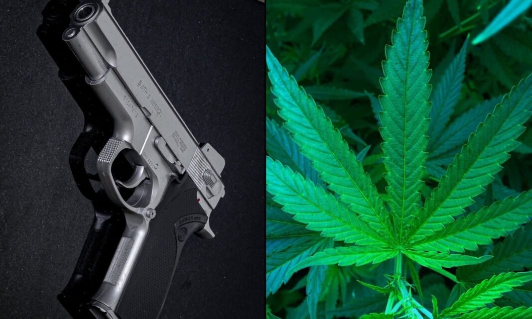 Florida Case On Medical Marijuana Patients’ Gun Rights Is On Hold As Supreme Court Weighs Underlying Issue