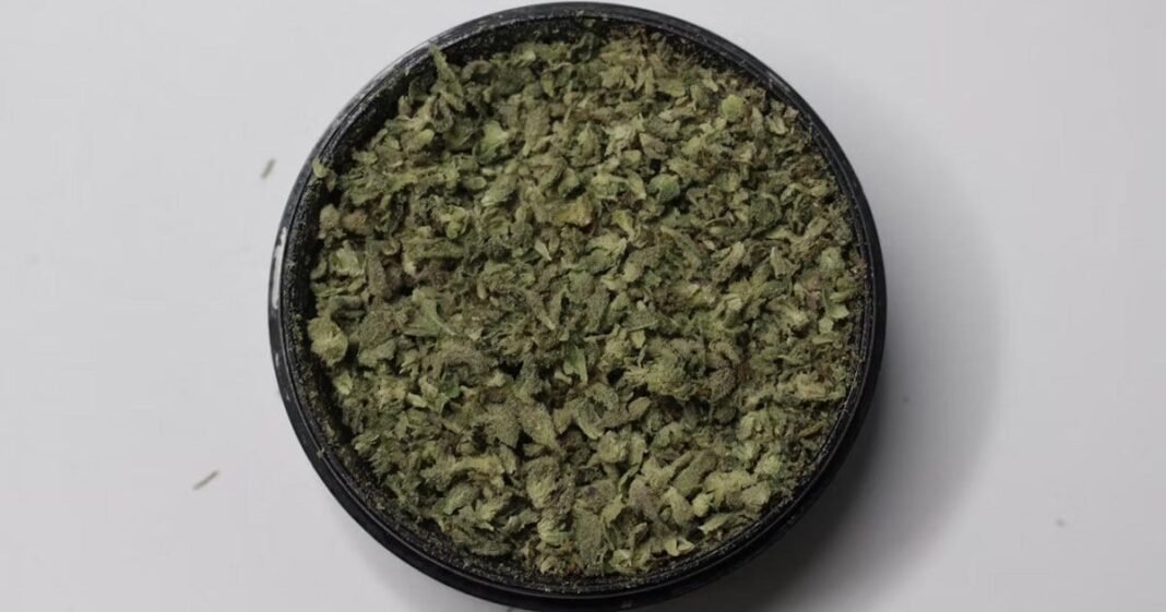 DAFF Implements Cannabis Import Changes In Australia