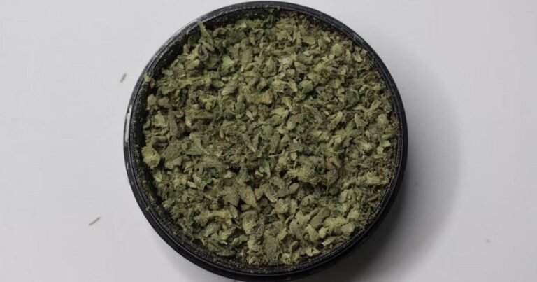 DAFF Implements Cannabis Import Changes In Australia