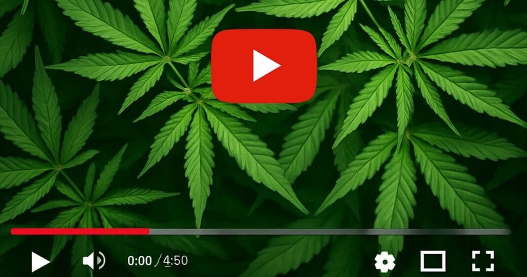 Study: YouTube And Medical Cannabis Information