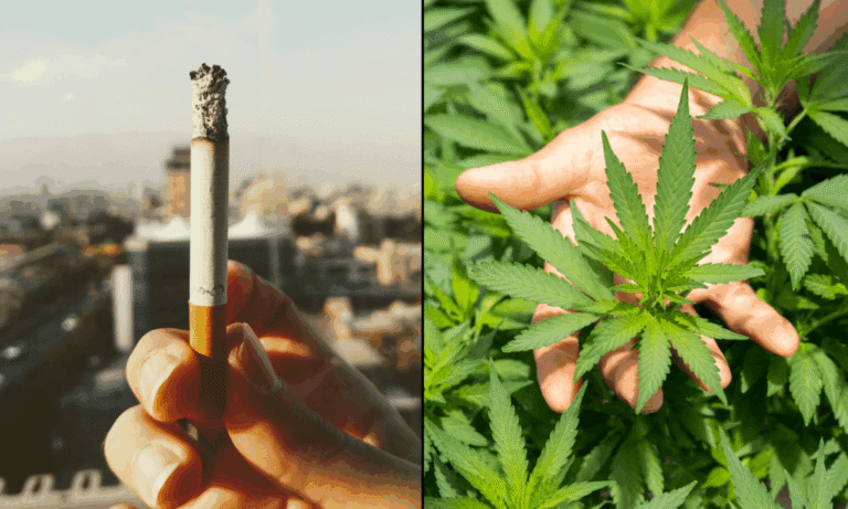 More Americans Now Use Marijuana Than Smoke Cigarettes, New Study Shows - MEDCAN24