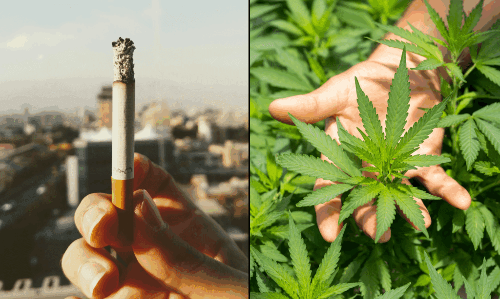 More Americans Now Use Marijuana Than Smoke Cigarettes, New Study Shows - MEDCAN24