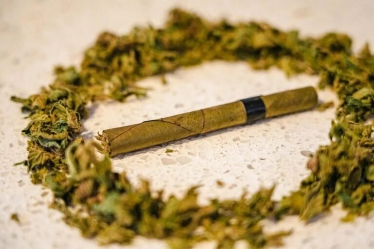 Marijuana Blunt Smoking Has ‘Increased Significantly’ In The U.S. The study shows that in recent years, marijuana smoking by blunts has significantly increased.