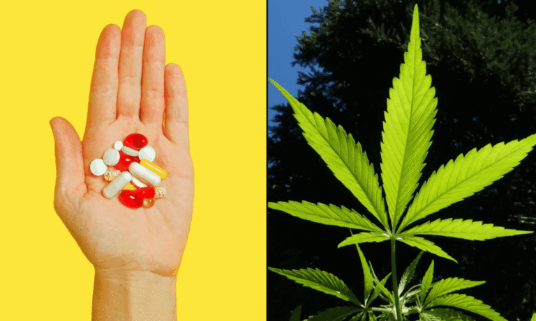 Legalizing Marijuana Helps Cancer Patients Reduce Opioid Use, Federally Funded Study Published By AMA Indicates - MEDCAN24