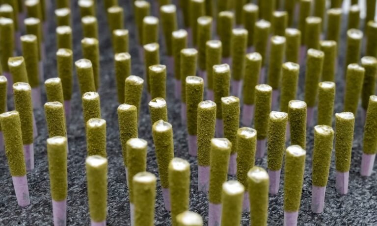 AV2’s L.A.L.A. Machine Brings Industrial Precision to Infused Pre-Rolls - MEDCAN24