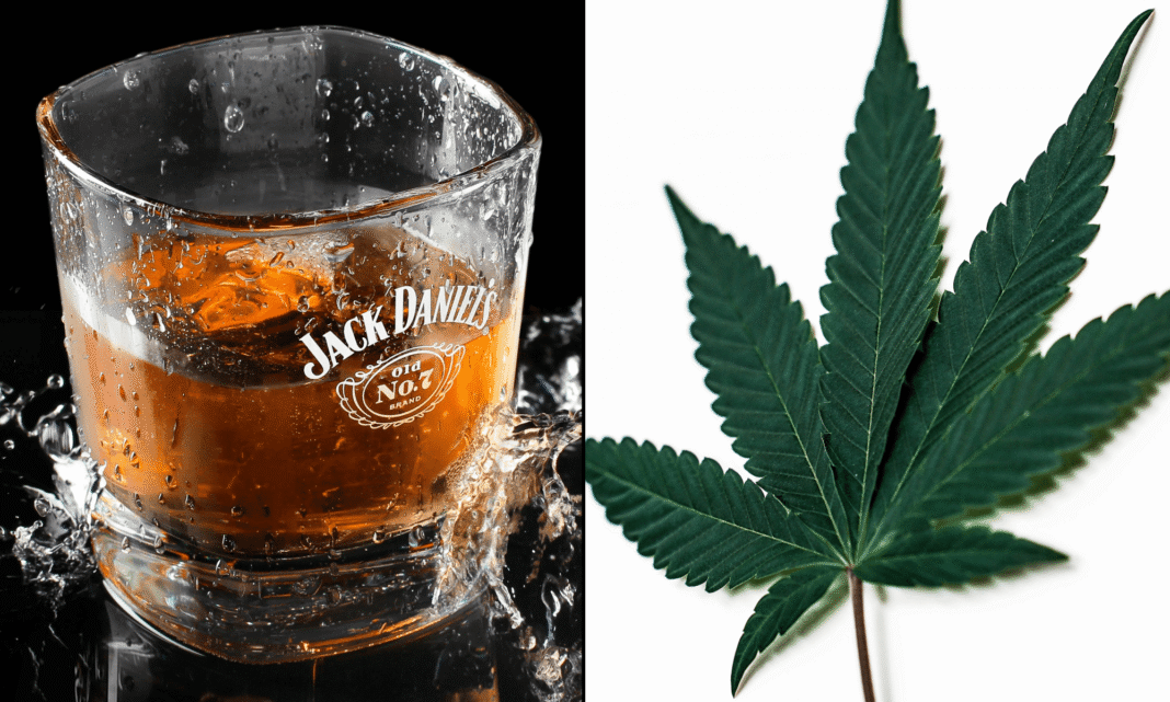 Marijuana Regulations Protect Public Health Better Than Alcohol Rules Do, New Government-Funded Study Finds - MEDCAN24