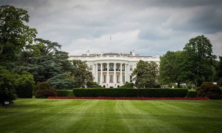 Trump Reclassifies Cannabis to Schedule III Drug