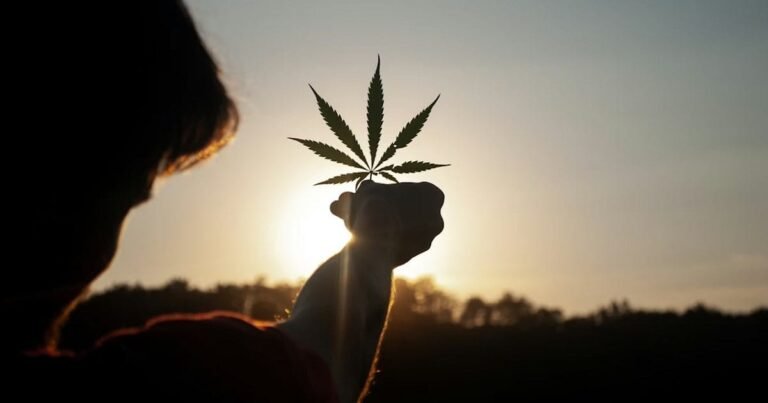 Conflicting Cannabis Clinical Potential Studies Confound