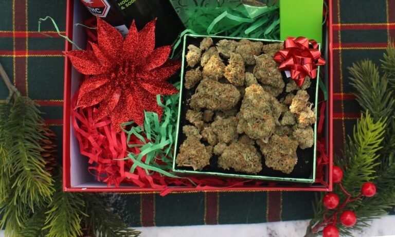 2025 Cannabis Holiday Gift Guide: This Year’s Standout Picks - MEDCAN24