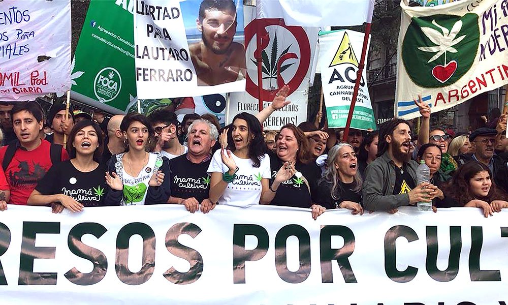 Continued Activism Is Vital for the Future of Global Cannabis - MEDCAN24