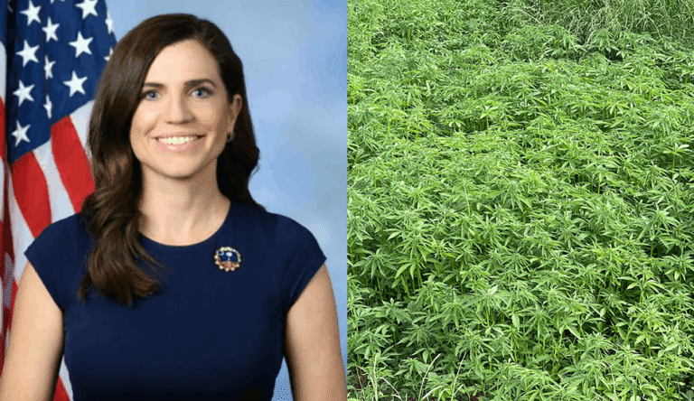 US Congresswoman Unveils Bill to Repeal Federal Hemp Product Ban