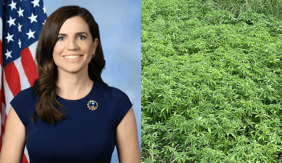 US Congresswoman Unveils Bill to Repeal Federal Hemp Product Ban