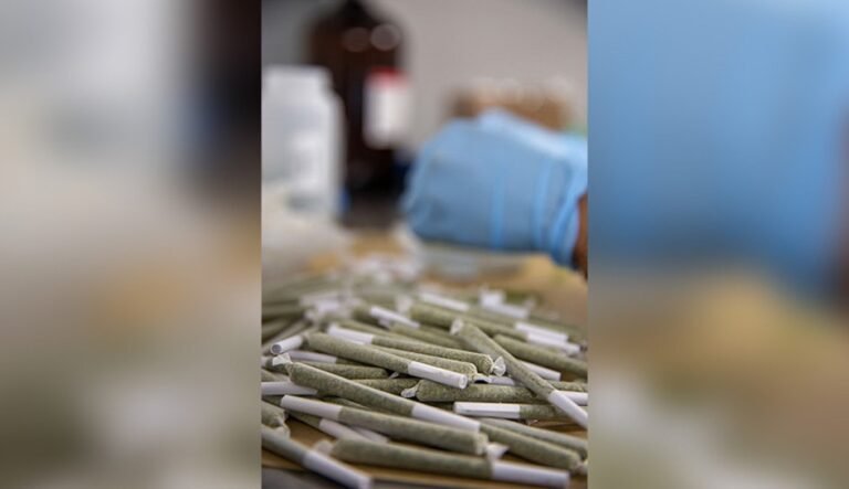 The 2020 Cannabis Worker Death Kept From the Public