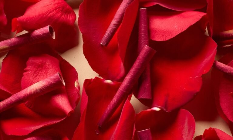 Zig-Zag Unveils Limited-Edition Rose Cones, Debuting Grammys Weekend