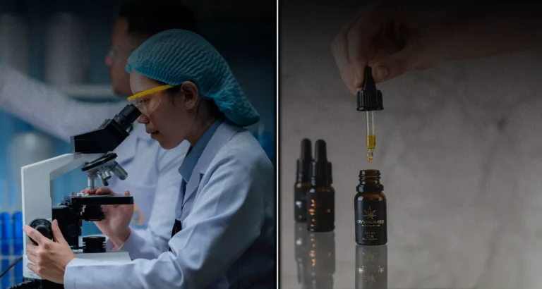 Clinical Evidence vs. Food Law: Europe’s CBD Dilemma