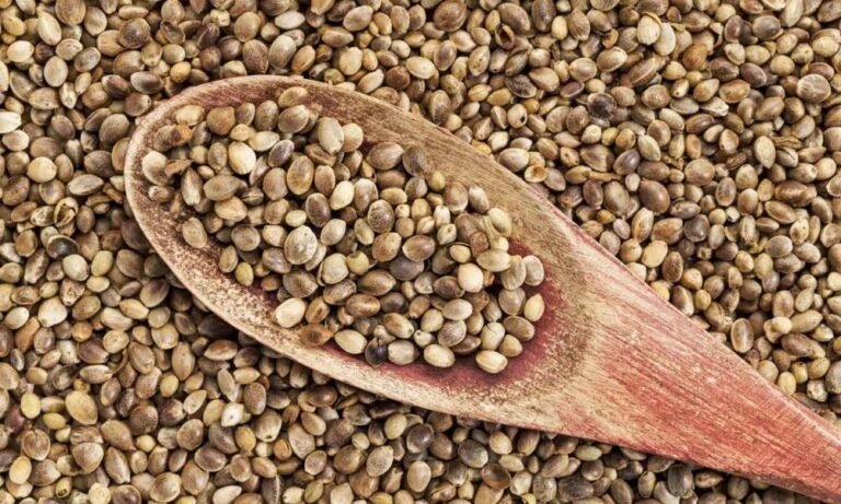 Why You Should Be Eating Hemp Seeds Right Now