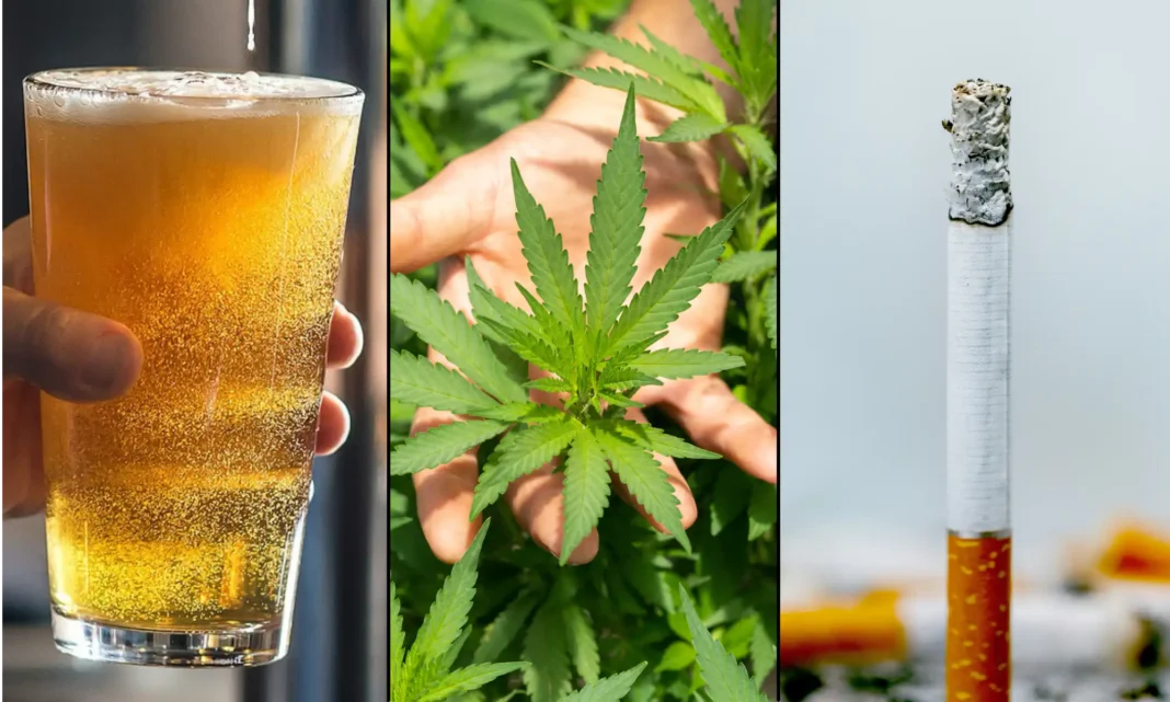 Alkohol i tytoń są bardziej szkodliwe dla użytkowników i społeczeństwa niż marihuana – wynika z badań sfinansowanych przez rząd
