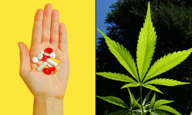 Millions Of Americans Use CBD As A Substitute For Painkillers And Other Medications, Federally Funded Study Shows