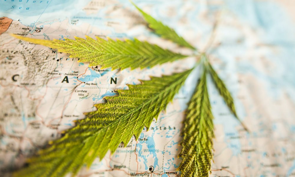 International Cannabis Supply Chain Leaders for 2026