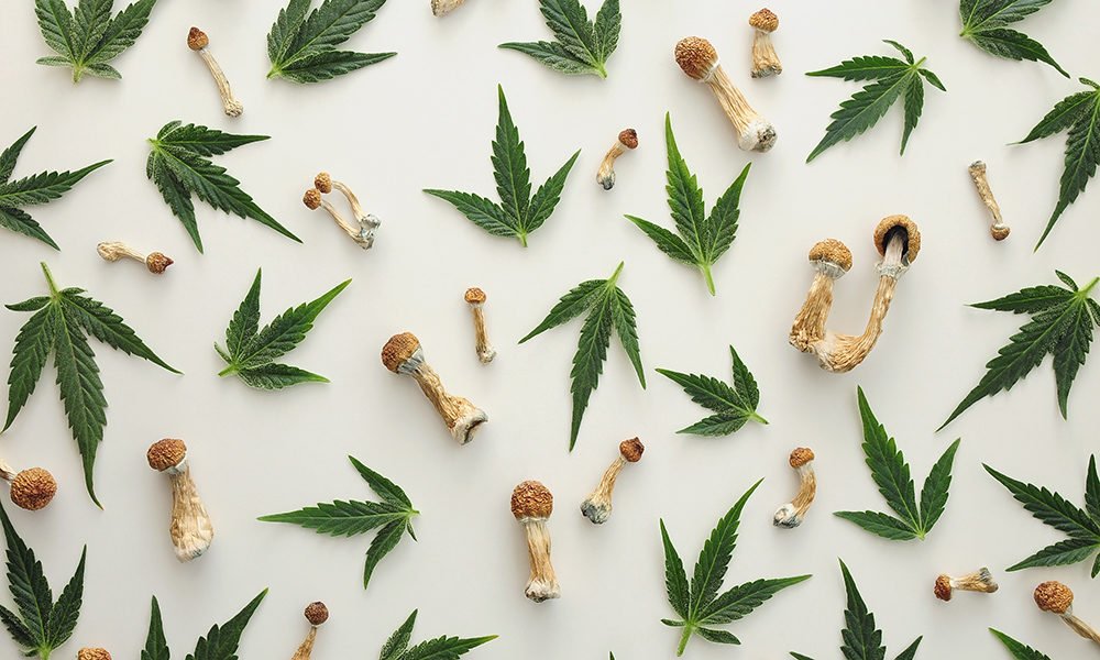 Breaking News: White House Advances Psychedelic Research for Veterans—Why Cannabis Could Benefit Next