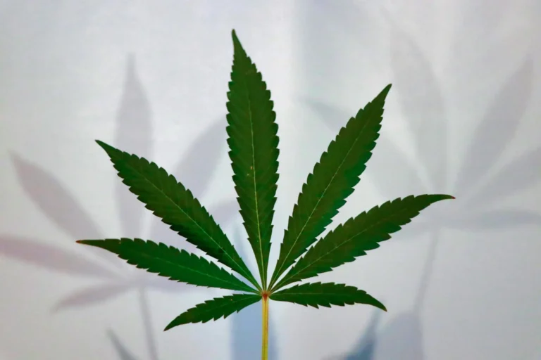 Teen Marijuana Use Is Lower Now Than Before Legalization, Government Study From Minnesota Officials Shows