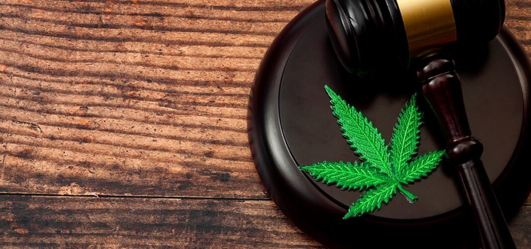 Anti-Cannabis Coalition Sues Trump Admin Over Medicare Hemp Coverage Plan