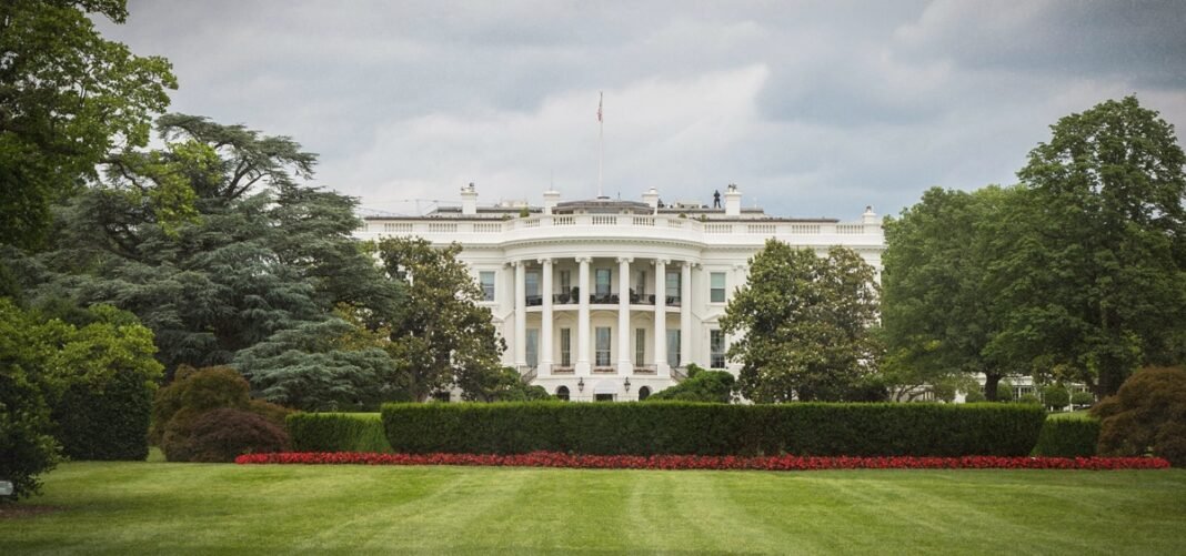 Trump Signs Executive Order Supporting State-Run Psychedelics Programs