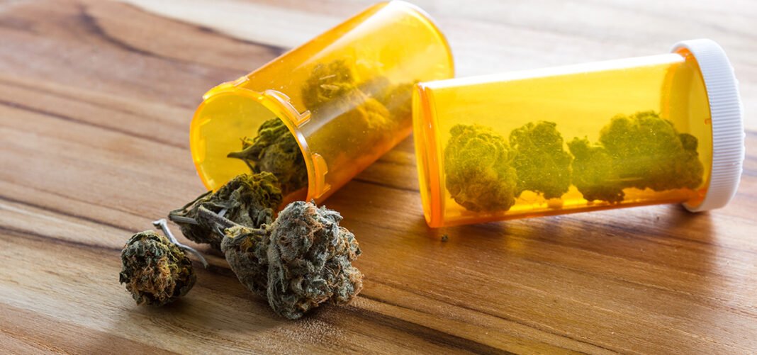 Maine House Rejects Testing Bill for Medical Cannabis Caregivers  