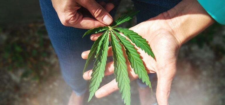 Study: Most Americans Support Federal Reclassification of Cannabis 