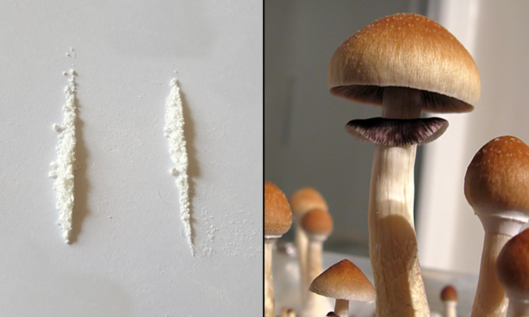 A Single Dose Of Psilocybin Appears To Safely Treat Cocaine Addiction, New Study Published By American Medical Association Study Shows - MEDCAN24