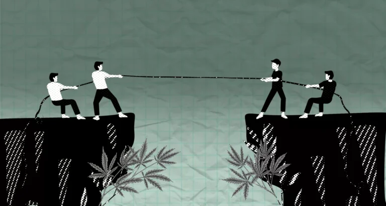 The War on Europe’s Legal Hemp Industry