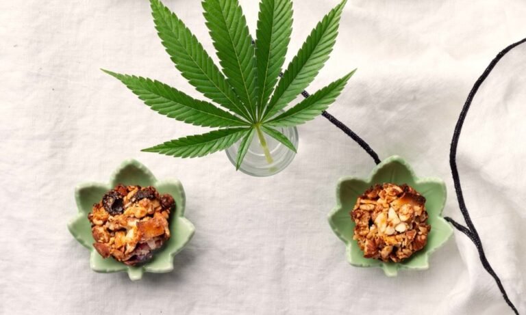 CBD & THC Energy Bites Recipe: Easy Cannabis Edibles for Focus & Fuel