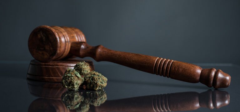 Republican Attorneys General Sue to Block Trump’s Cannabis Rescheduling Order