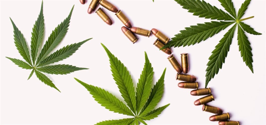 Puerto Rico Gun Rights Group Calls for Police to Comply with SCOTUS Ruling Allowing Cannabis Consumers to Possess Firearms 
