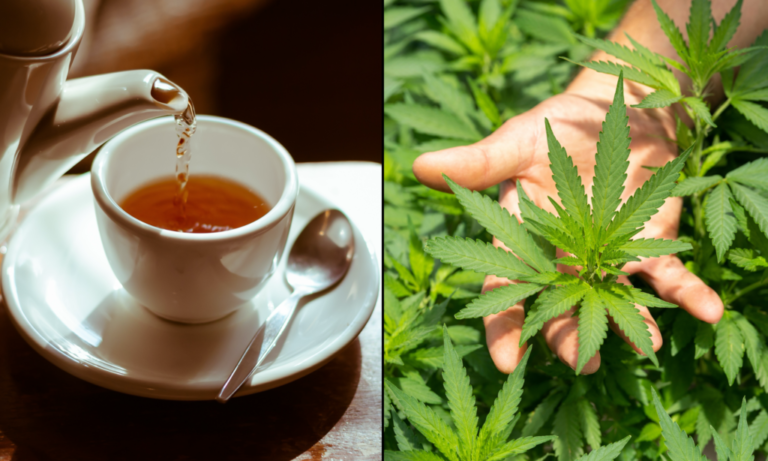Drinking Marijuana-Infused Tea Boosts Happiness And Sleep Quality, Study Shows - MEDCAN24