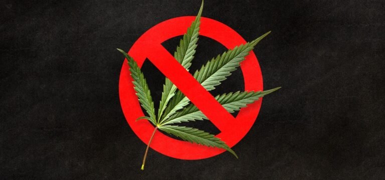 Kenya High Court Rejects Legalizing Cannabis Use for Rastafarians  