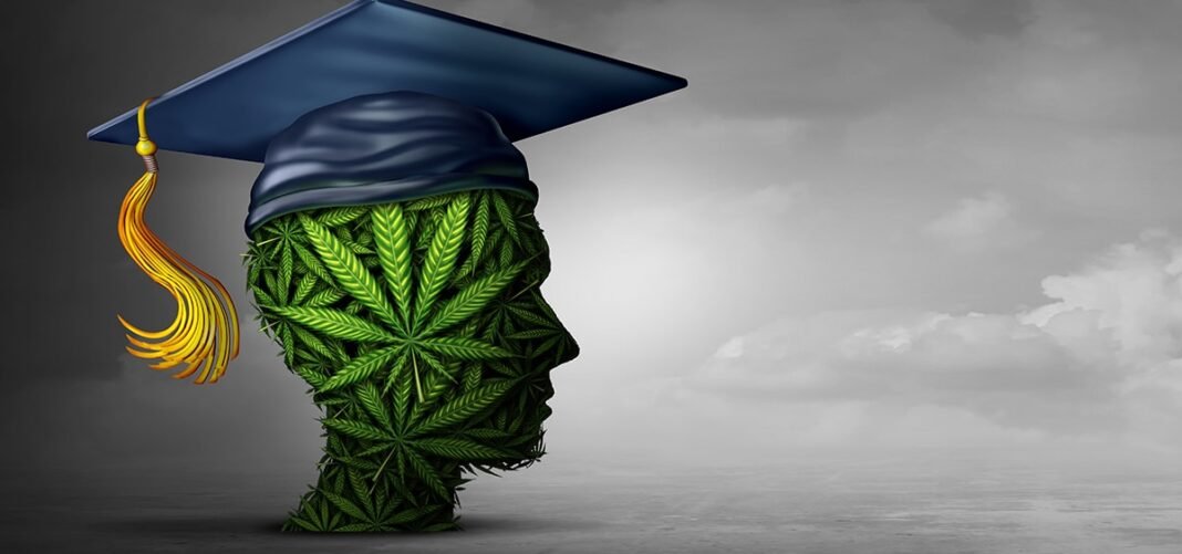 New York Launches Program to Educate Doctors About Cannabis
