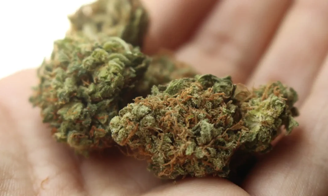 THC And CBD From Marijuana Reduces Agitation In 9 Out Of 10 People With Alzheimer’s Or Other Dementia, Study Shows - MEDCAN24