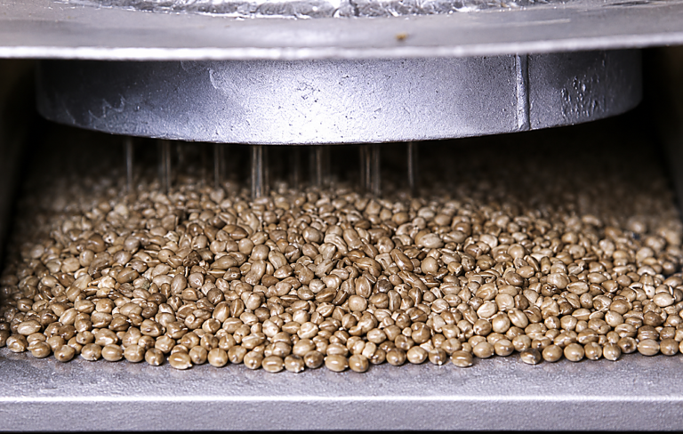 Canadian hemp swings back to grain as CBD flower fields vanish, fiber retreats further