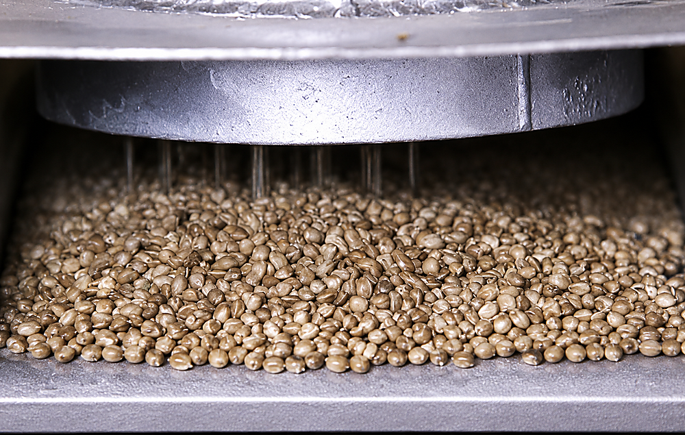 Canadian hemp swings back to grain as CBD flower fields vanish, fiber retreats further