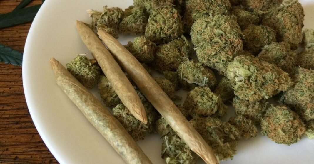 What Percentage Of U.S. Adults Consume Cannabis?