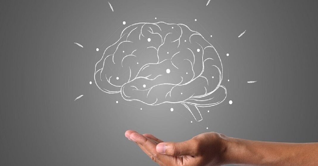 Cannabis Use Positively Associated With Regional Brain Volume
