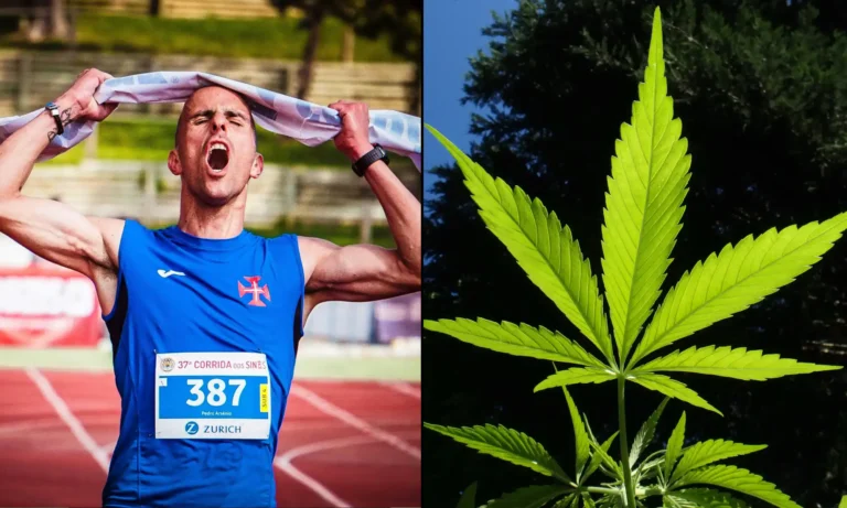 Badania wskazują, że CBD ma „właściwości potencjalnie poprawiające wyniki” w sporcie i może pomagać sportowcom w regeneracji po wysiłku fizycznym