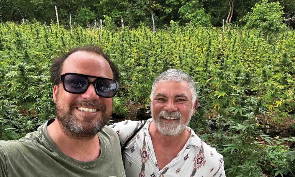 Cannabis Tourism: The Calm After The Storm