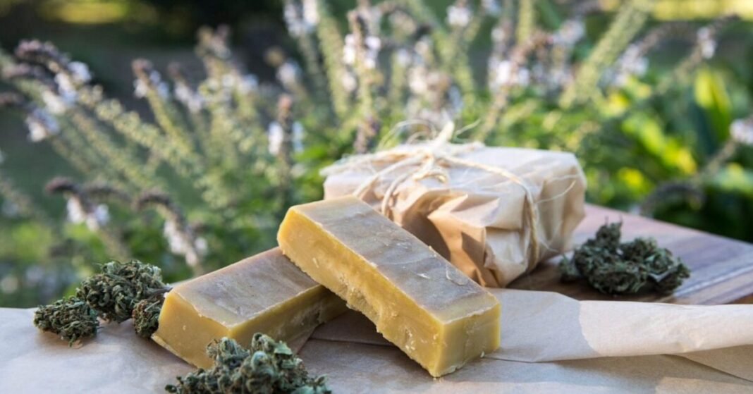 Mexico Supreme Court Of Justice Rules In Favor Of Homemade Edibles