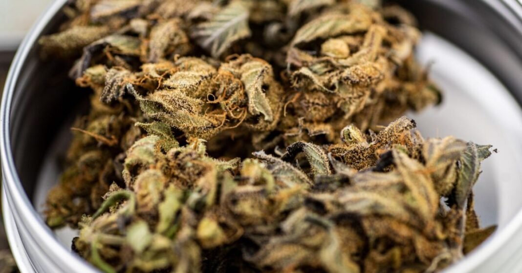 How Popular Are CBD Flowers In Germany?